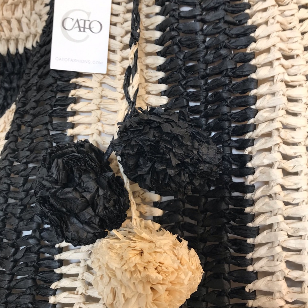 CATO - Picture 3 of 5